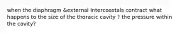 when the diaphragm &external Intercoastals contract what happens to the size of the thoracic cavity ? the pressure within the cavity?