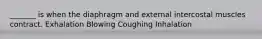 _______ is when the diaphragm and external intercostal muscles contract. Exhalation Blowing Coughing Inhalation