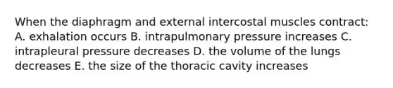 When the diaphragm and external intercostal muscles contract: A. exhalation occurs B. intrapulmonary pressure increases C. intrapleural pressure decreases D. the volume of the lungs decreases E. the size of the thoracic cavity increases