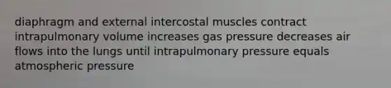 diaphragm and external intercostal muscles contract intrapulmonary volume increases gas pressure decreases air flows into the lungs until intrapulmonary pressure equals atmospheric pressure