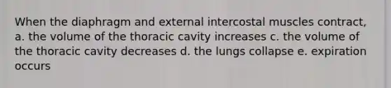 When the diaphragm and external intercostal muscles contract, a. the volume of the thoracic cavity increases c. the volume of the thoracic cavity decreases d. the lungs collapse e. expiration occurs