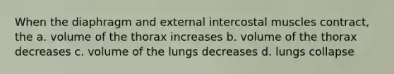 When the diaphragm and external intercostal muscles contract, the a. volume of the thorax increases b. volume of the thorax decreases c. volume of the lungs decreases d. lungs collapse