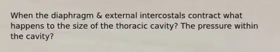 When the diaphragm & external intercostals contract what happens to the size of the thoracic cavity? The pressure within the cavity?