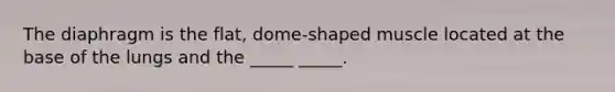 The diaphragm is the flat, dome-shaped muscle located at the base of the lungs and the _____ _____.
