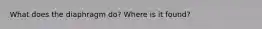 What does the diaphragm do? Where is it found?