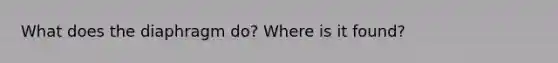 What does the diaphragm do? Where is it found?