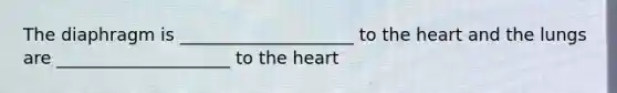 The diaphragm is ____________________ to the heart and the lungs are ____________________ to the heart