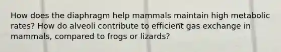 How does the diaphragm help mammals maintain high metabolic rates? How do alveoli contribute to efficient gas exchange in mammals, compared to frogs or lizards?