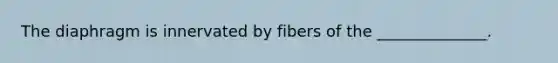 The diaphragm is innervated by fibers of the ______________.