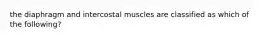 the diaphragm and intercostal muscles are classified as which of the following?