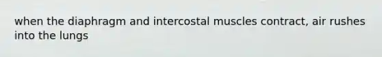 when the diaphragm and intercostal muscles contract, air rushes into the lungs