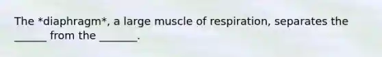 The *diaphragm*, a large muscle of respiration, separates the ______ from the _______.