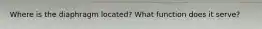 Where is the diaphragm located? What function does it serve?