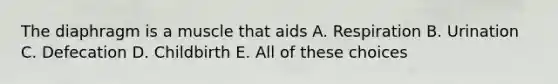 The diaphragm is a muscle that aids A. Respiration B. Urination C. Defecation D. Childbirth E. All of these choices