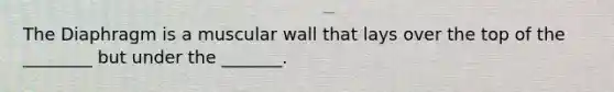 The Diaphragm is a muscular wall that lays over the top of the ________ but under the _______.