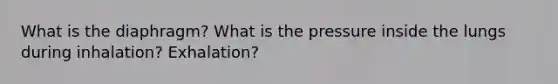 What is the diaphragm? What is the pressure inside the lungs during inhalation? Exhalation?