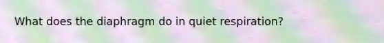 What does the diaphragm do in quiet respiration?