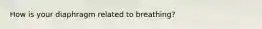 How is your diaphragm related to breathing?