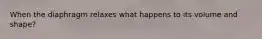 When the diaphragm relaxes what happens to its volume and shape?