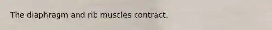 The diaphragm and rib muscles contract.