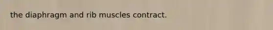 the diaphragm and rib muscles contract.