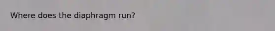Where does the diaphragm run?