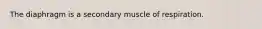 The diaphragm is a secondary muscle of respiration.