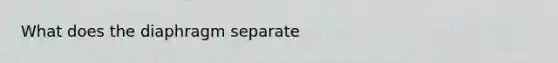 What does the diaphragm separate