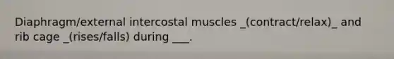 Diaphragm/external intercostal muscles _(contract/relax)_ and rib cage _(rises/falls) during ___.