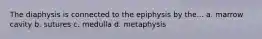 The diaphysis is connected to the epiphysis by the... a. marrow cavity b. sutures c. medulla d. metaphysis