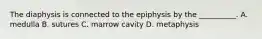 The diaphysis is connected to the epiphysis by the __________. A. medulla B. sutures C. marrow cavity D. metaphysis