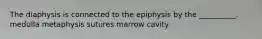 The diaphysis is connected to the epiphysis by the __________. medulla metaphysis sutures marrow cavity