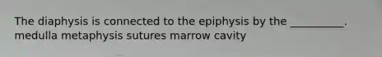 The diaphysis is connected to the epiphysis by the __________. medulla metaphysis sutures marrow cavity