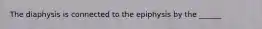 The diaphysis is connected to the epiphysis by the ______