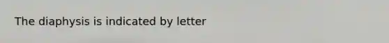 The diaphysis is indicated by letter