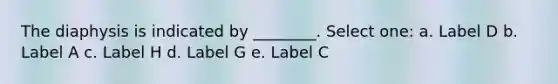 The diaphysis is indicated by ________. Select one: a. Label D b. Label A c. Label H d. Label G e. Label C