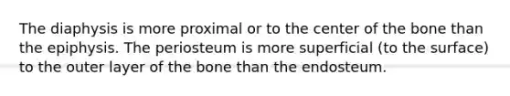 The diaphysis is more proximal or to the center of the bone than the epiphysis. The periosteum is more superficial (to the surface) to the outer layer of the bone than the endosteum.