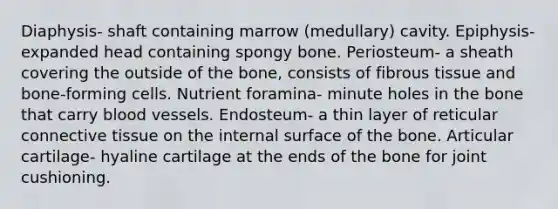 Diaphysis- shaft containing marrow (medullary) cavity. Epiphysis- expanded head containing spongy bone. Periosteum- a sheath covering the outside of the bone, consists of fibrous tissue and bone-forming cells. Nutrient foramina- minute holes in the bone that carry blood vessels. Endosteum- a thin layer of reticular connective tissue on the internal surface of the bone. Articular cartilage- hyaline cartilage at the ends of the bone for joint cushioning.