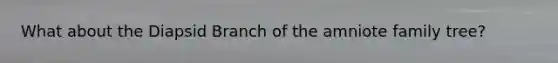 What about the Diapsid Branch of the amniote family tree?