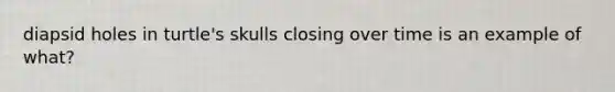 diapsid holes in turtle's skulls closing over time is an example of what?
