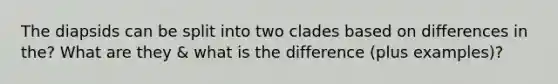 The diapsids can be split into two clades based on differences in the? What are they & what is the difference (plus examples)?