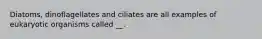 Diatoms, dinoflagellates and ciliates are all examples of eukaryotic organisms called __.