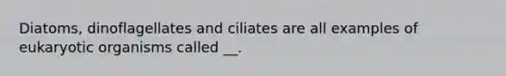 Diatoms, dinoflagellates and ciliates are all examples of eukaryotic organisms called __.