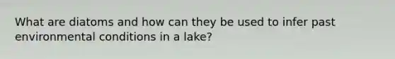 What are diatoms and how can they be used to infer past environmental conditions in a lake?