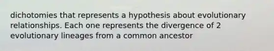 dichotomies that represents a hypothesis about evolutionary relationships. Each one represents the divergence of 2 evolutionary lineages from a common ancestor