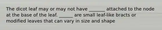 The dicot leaf may or may not have _______ attached to the node at the base of the leaf. ______ are small leaf-like bracts or modified leaves that can vary in size and shape