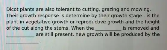 Dicot plants are also tolerant to cutting, grazing and mowing. Their growth response is determine by their growth stage - is the plant in vegetative growth or reproductive growth and the height of the cut along the stems. When the ___________ is removed and ____________ are still present, new growth will be produced by the ______________.