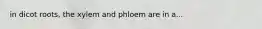 in dicot roots, the xylem and phloem are in a...