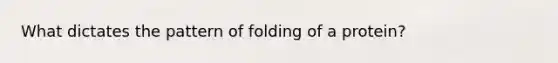 What dictates the pattern of folding of a protein?