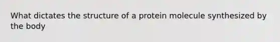 What dictates the structure of a protein molecule synthesized by the body